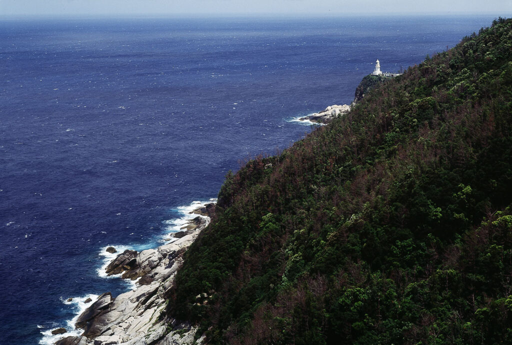 海岸